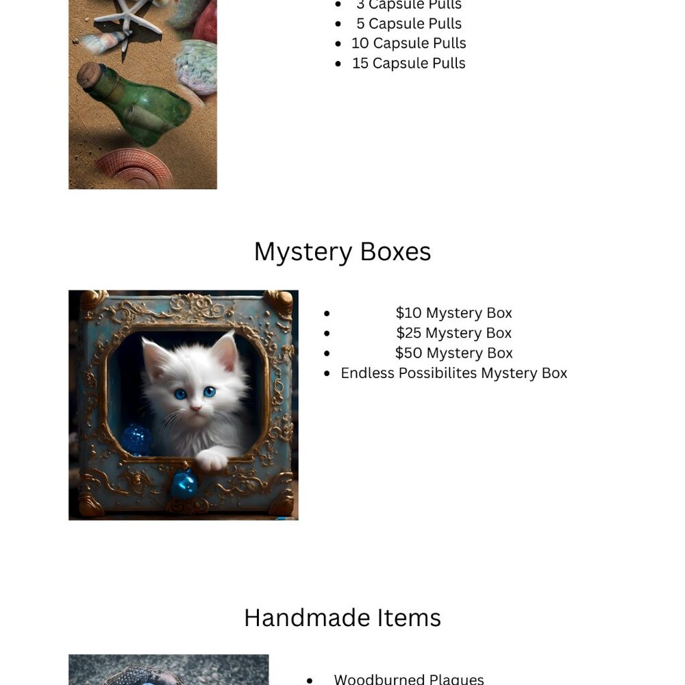 $25 Mystery Box - Picture 4 of 5